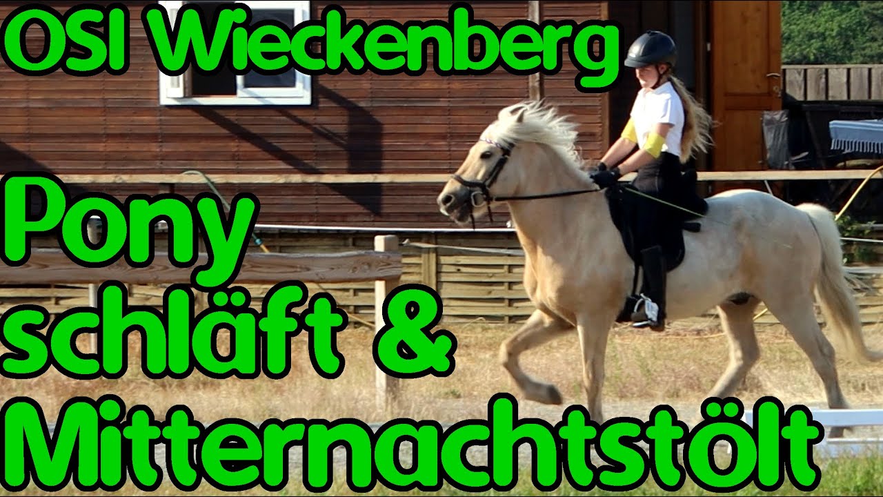 Zu viel Energie beim Mitternachtstölt - OSI Wieckenberg