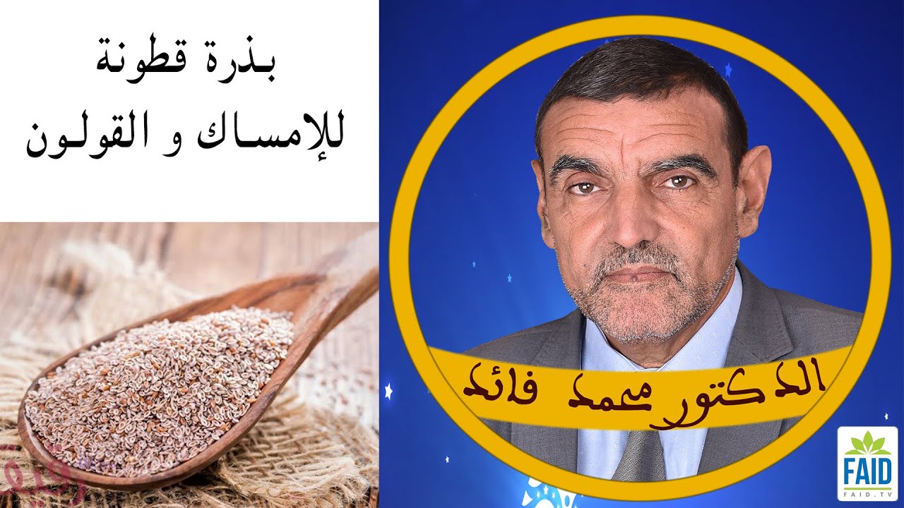 بذرة قطونة في الطب القديم  | الدكتور الفايد