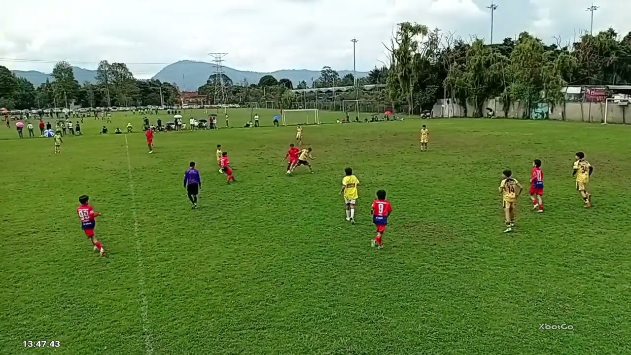 CBCD VS Auri N F1