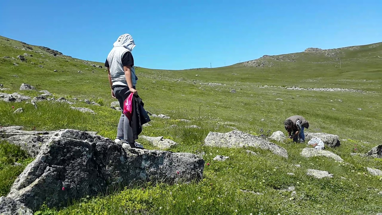 Sürmene Taşlı Yaylası 08.07.2018