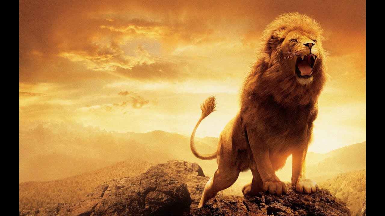 The King of the Jungle - The Lion - Wild World - 001