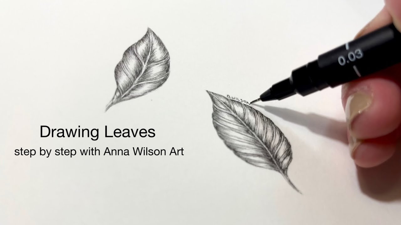 Drawing Leaves | Beginner Friendly, Step by Step Tutorial