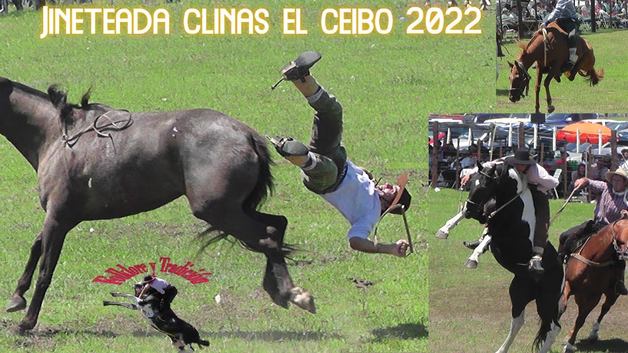 jineteada en clinas el Ceibo 2022 # HorsesRiding  #Cowboy #Rodeio #Carlosespindola