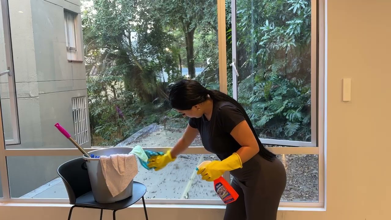 WINDOW CLEANING