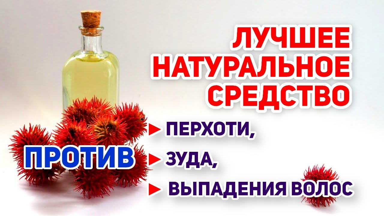 Лучшее натуральное средство от перхоти, зуда и выпадения волос - касторовое масло!