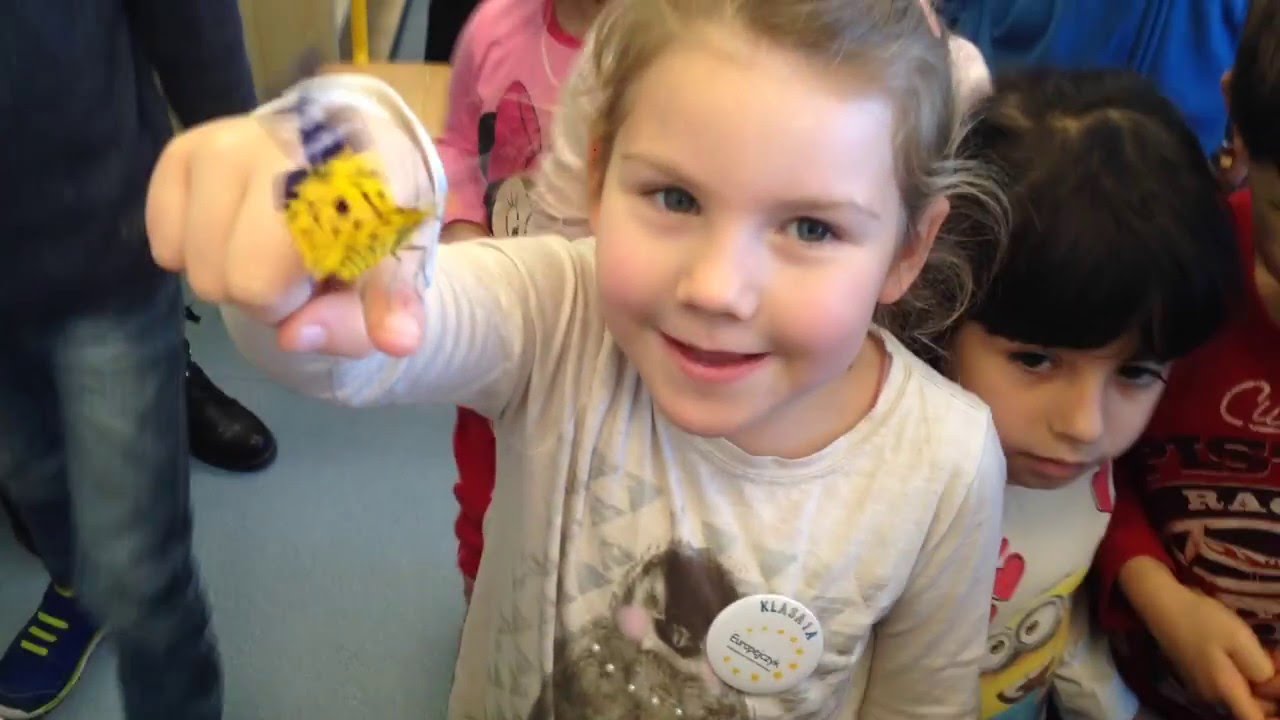 Koncepcja pracy Anglojęzycznej Szkoły Podstawowej Europejczyk