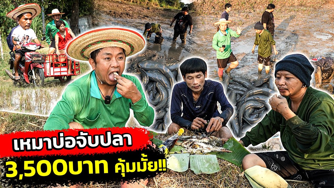 เหมาบ่อสูบปลา3,500 บาท!! ประธานฮ่าง บ่าวโก้เพิ่นพามาลุย!!
