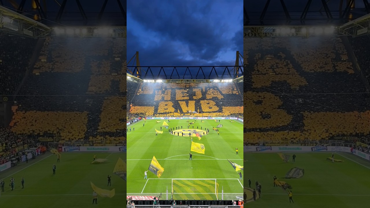 This tifo is crazy! 🖤💛