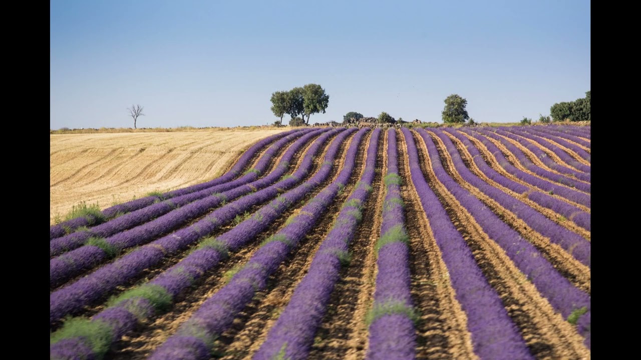 CAMPOS DE CASTILLA   LA ALCARRIA  Por @emilio perez fotografia