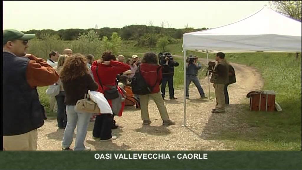 Piccoli Viaggi: l'oasi Vallevecchia di Caorle