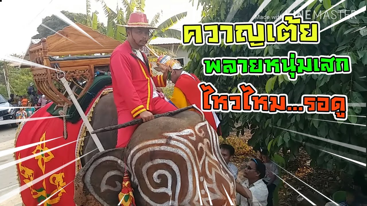 ครั้งแรกของควาญเต้ย ที่ขี่หนุ่มเสก จะรอดไหม
