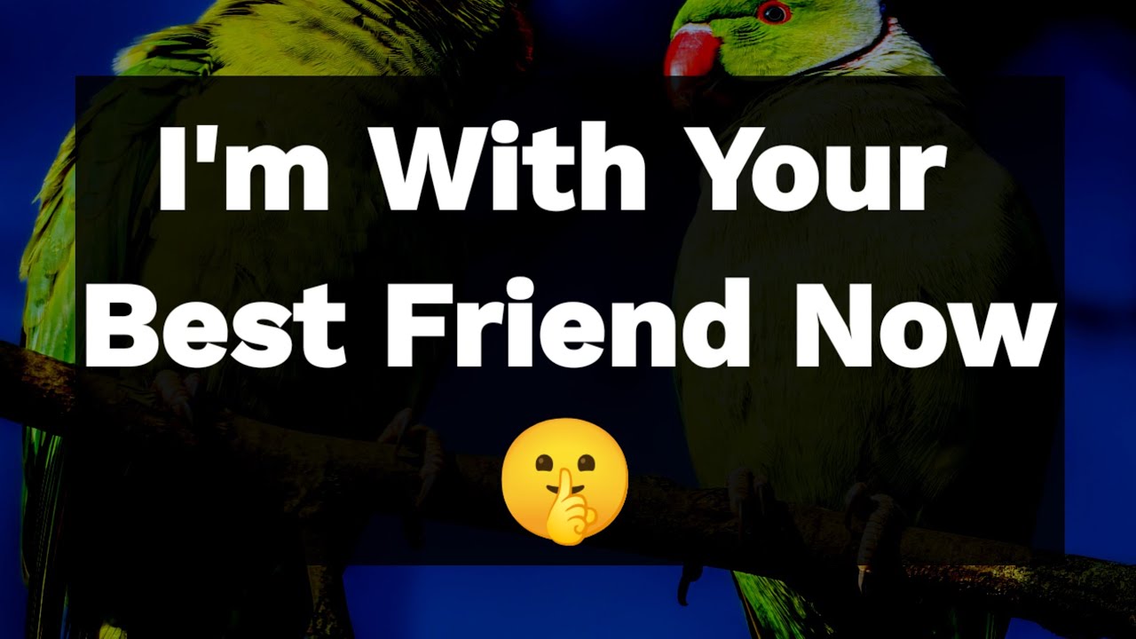 Dm to DF 🥰💌🌹 || I'm With Your Best Friend Now🤫💕💌 || Love Letter💌🥰🫂🌹