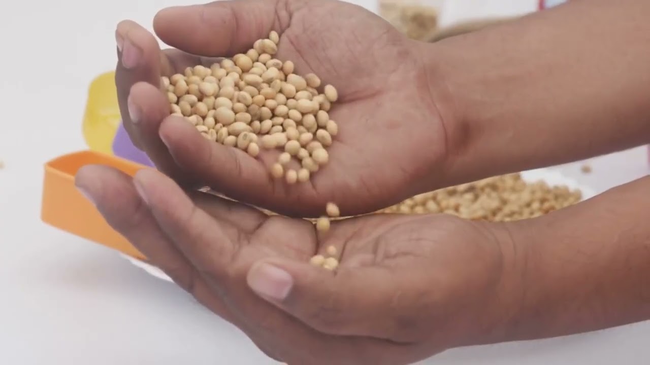 🌱 LA SOJA: HISTORIA, BENEFICIOS Y USOS DE UNA PLANTA MILENARIA