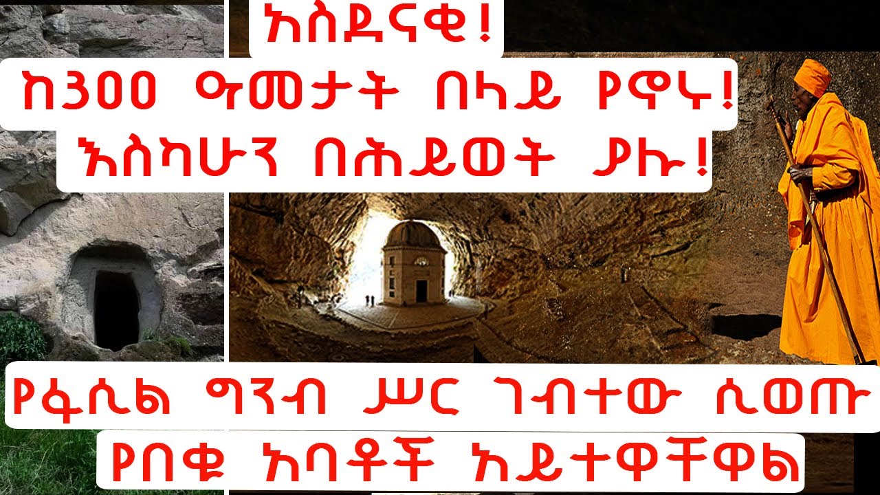 ETHIOPIA: አስደናቂ! ከ300 ዓመታት በላይ የኖረች! እስካሁን በሕይወት ያለች!  የፋሲል ግንብ ሥር ገብታ ስትወጣ የበቁ አባቶች ይመለከቷታል