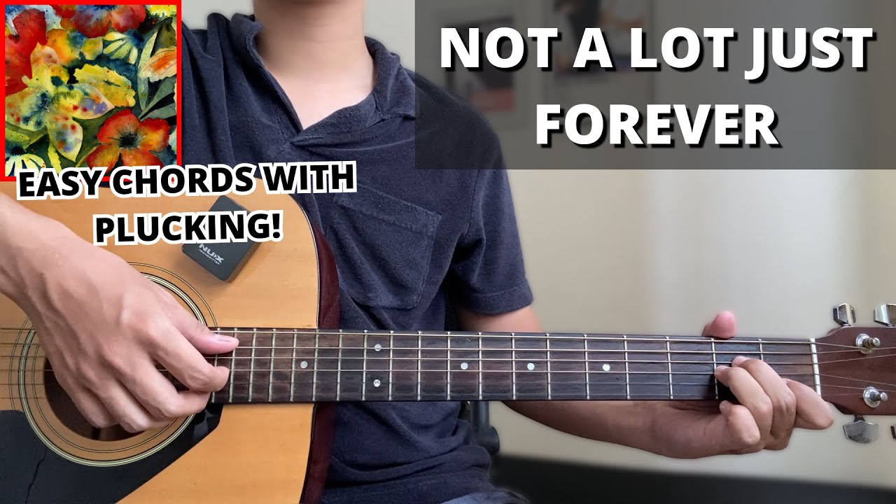 Not A Lot Just Forever - Adrianne Lenker (Guitar Tutorial) No Capo! Easy Chords For Beginner!
