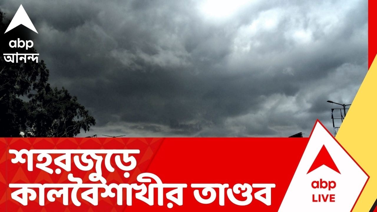 Weather Report : শহরজুড়ে কালবৈশাখীর তাণ্ডব। সঙ্গে শুরু বৃষ্টি | গাছ পড়ে ভোগান্তি একাধিক জায়গায়