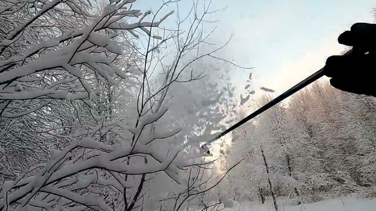 Весь день на лыжах в лесу 🌲 🤗