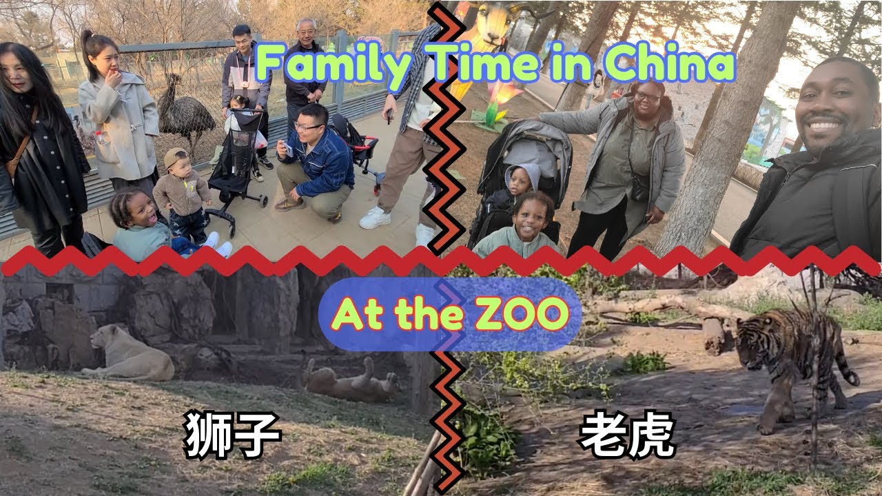 Zoo Day in China - Jamaican/Canadian Family in China