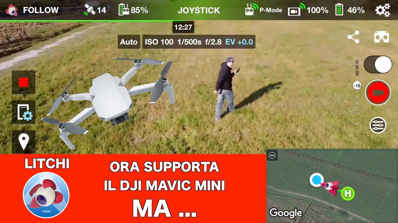 LITCHI ORA SUPPORTA IL DJI MAVIC MINI MA ...
