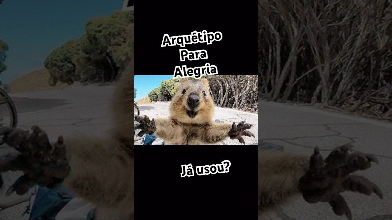 Vc já usou esse arquétipo para trazer mais alegria? Quokka 