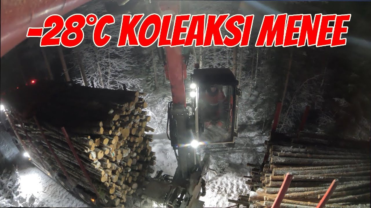 NYT päästiin ojan yli. UUTTA KUVAKULMAA METSÄN SIIMEKSESSÄ