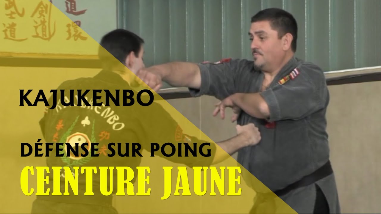 Programme d'examen Kajukenbo 1. Technique Ceinture jaune Punching Défense n° 1 (DVD267)
