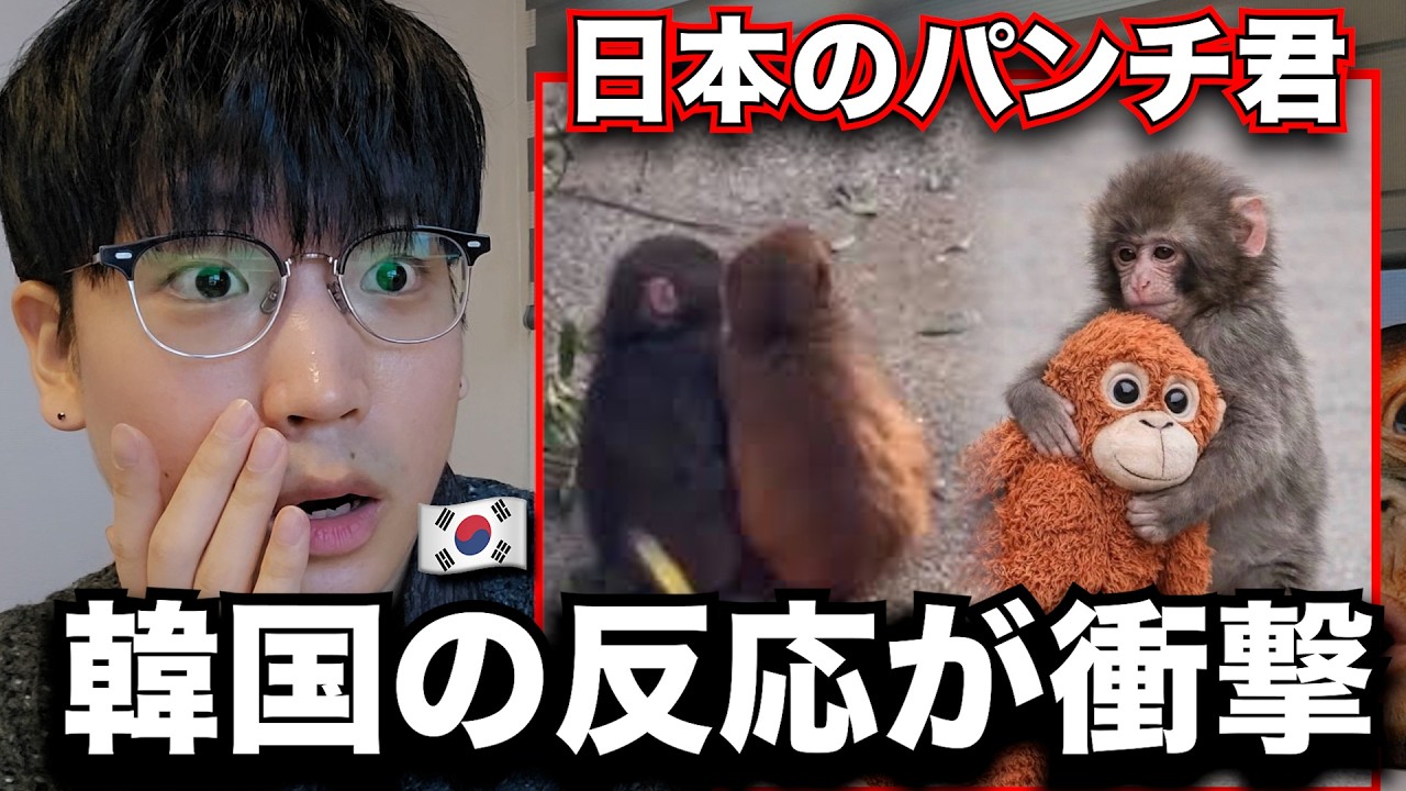日本のパンチ君が韓国で人気が爆発している理由、韓国人の反応とコメントがすごいです&hellip;