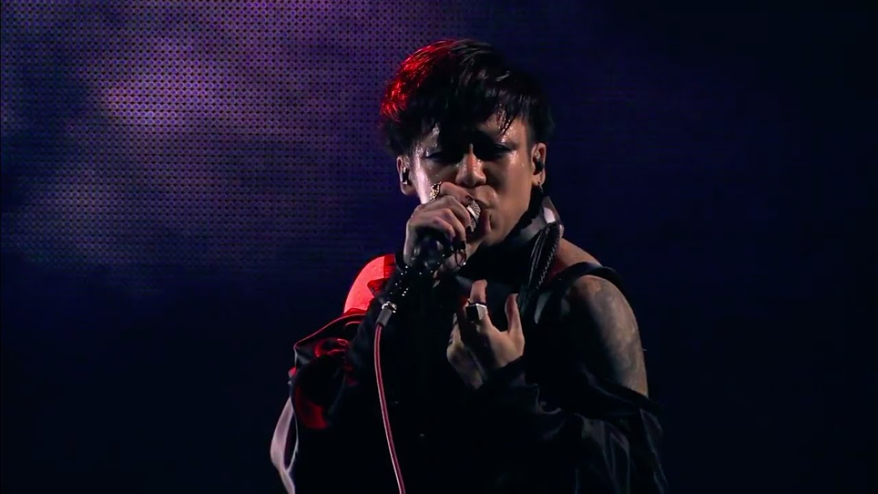 DIR EN GREY - ROTTING ROOT [eng sub] LIVE HD