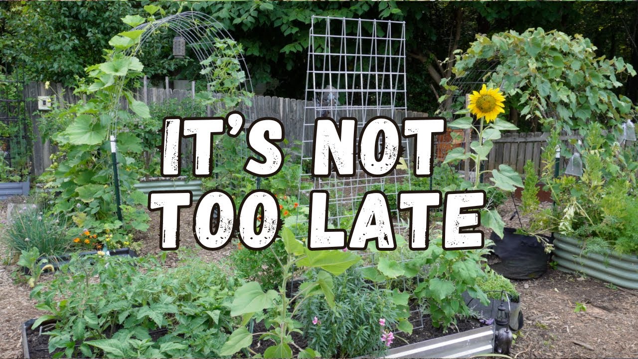 I'm Behind On My Garden | June Garden Chores & Planting