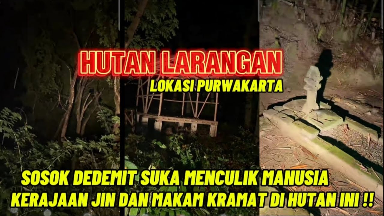 HUTAN LARANGAN ANGKER !! LOKASI PURWAKARTA ADA DEDEMIT SUKA MENCULIK MANUSIA #explore #fyp #misteri