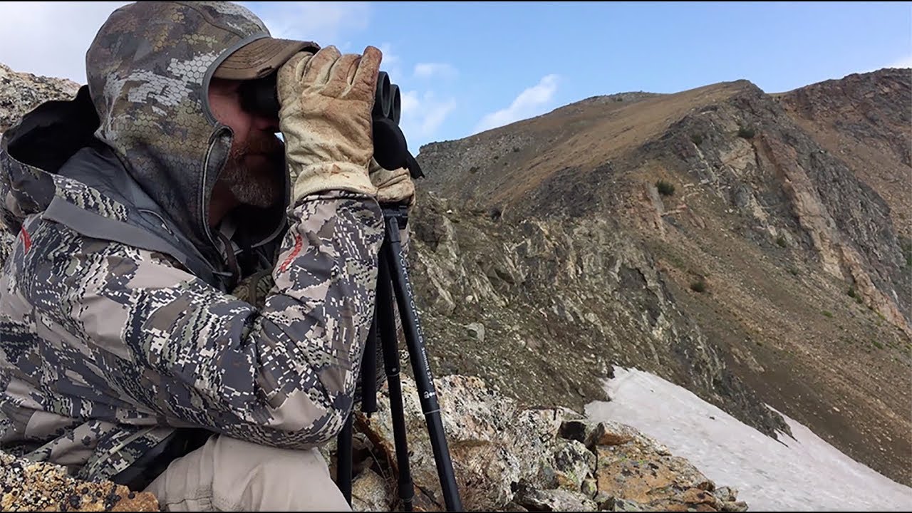 Locating Bighorn Sheep in Wilderness