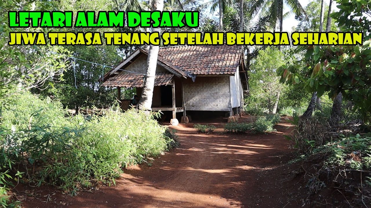 Jiwa Terasa Lebih Tenang Berada Di Kampung Kamancing. Asri, Sunyi Dan Bersahaja.