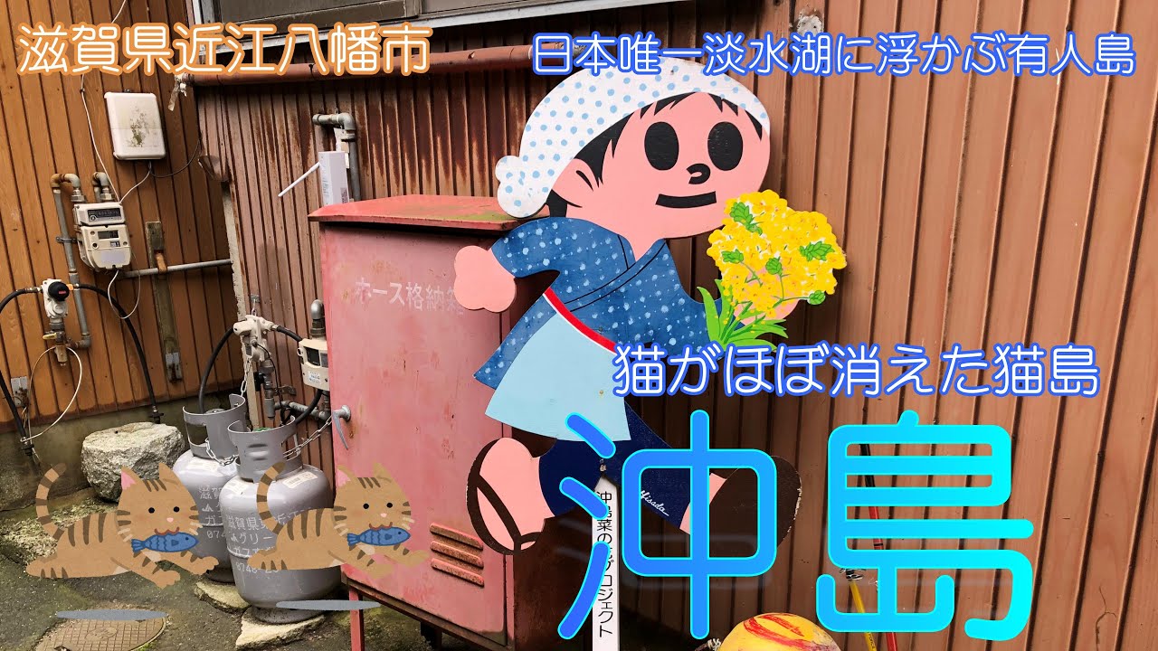 【滋賀県近江八幡市】沖島で離島の自然に癒されました【猫島】