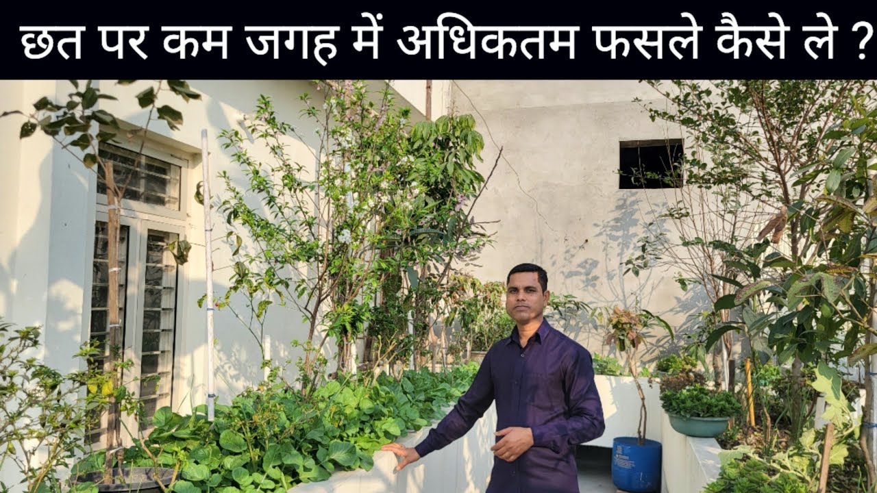 Multi Crop Farming in Terrace 