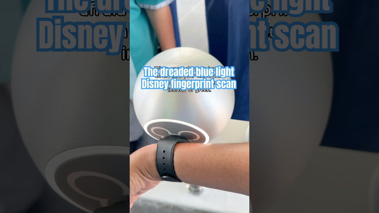 This is the most stressful part about going to Disney 