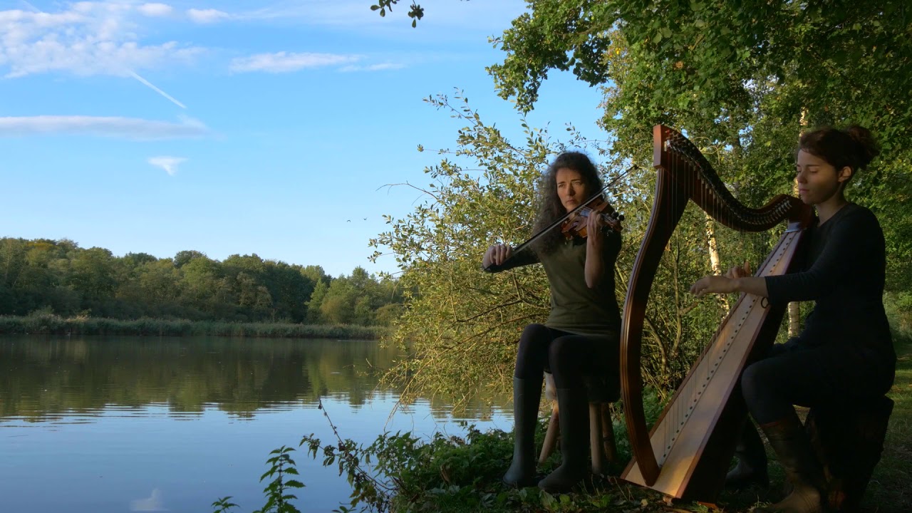 Celtic music: 