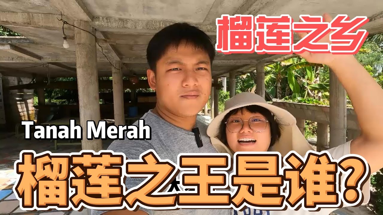 把房车开到Pulau Raya桃花岛 | 一起揭开【榴莲王】的秘密 | 品尝Raja Kunyit 坤玉榴莲 | 猫山王的本名 | 猫山王原产地【吉兰丹】|房车旅行环游西马 Tanah Merah