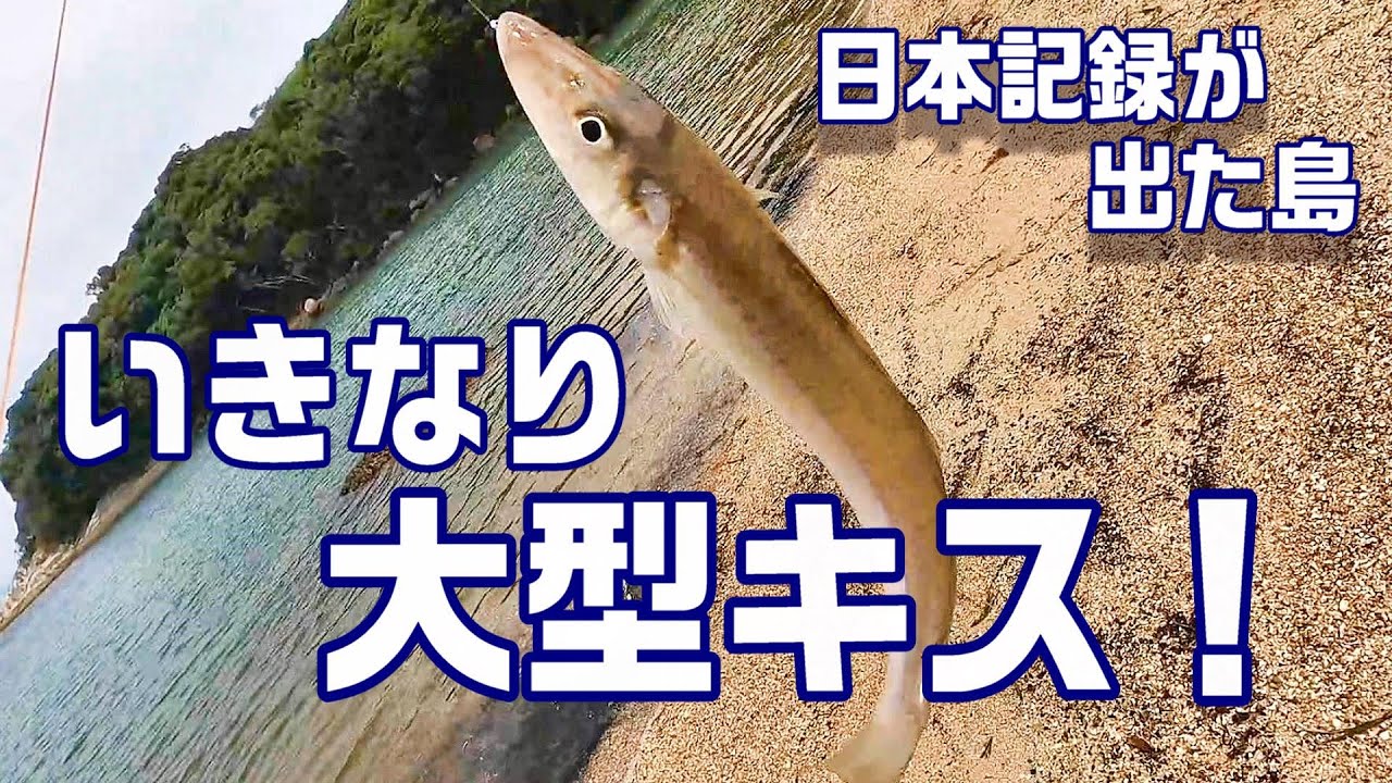 シロギスの35cmオーバーが潜む島！五島列島中通島遠征！　【魚神の釣りいかれへんわ】