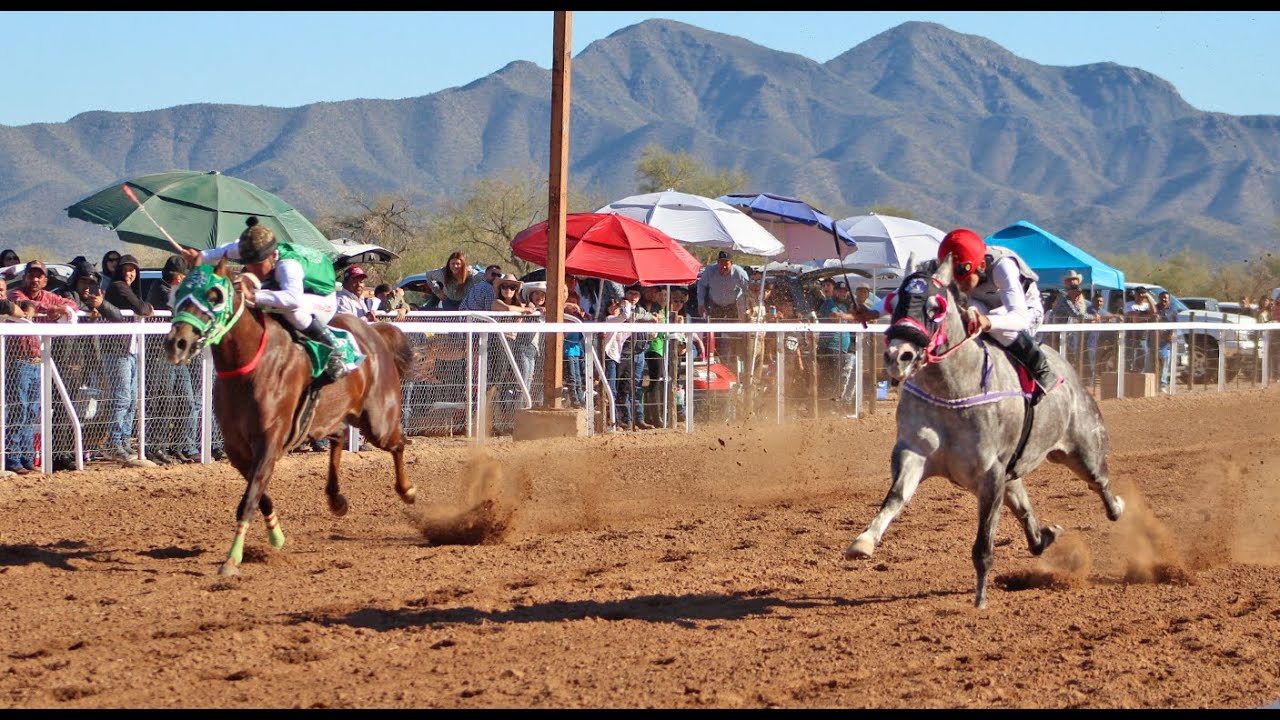 Carreras de Caballos en Altar 07 Diciembre 2025