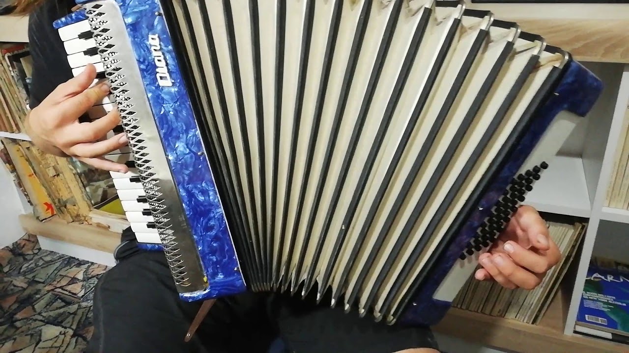 Acordeon ,, Timiș / Diana 