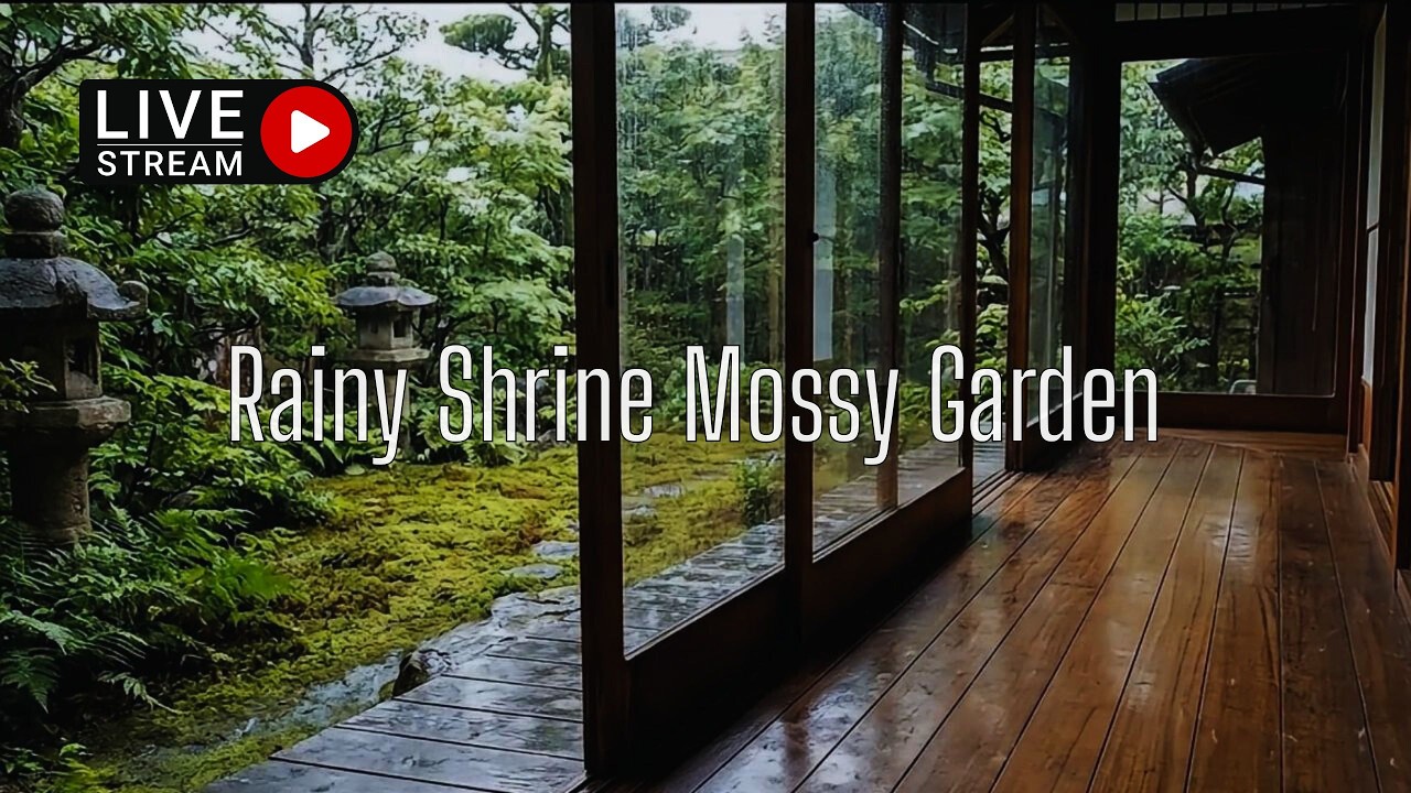🔴LIVE Traditional Japanese Rain for Deep Sleep – Rain in Mossy Garden with Stone Lanterns