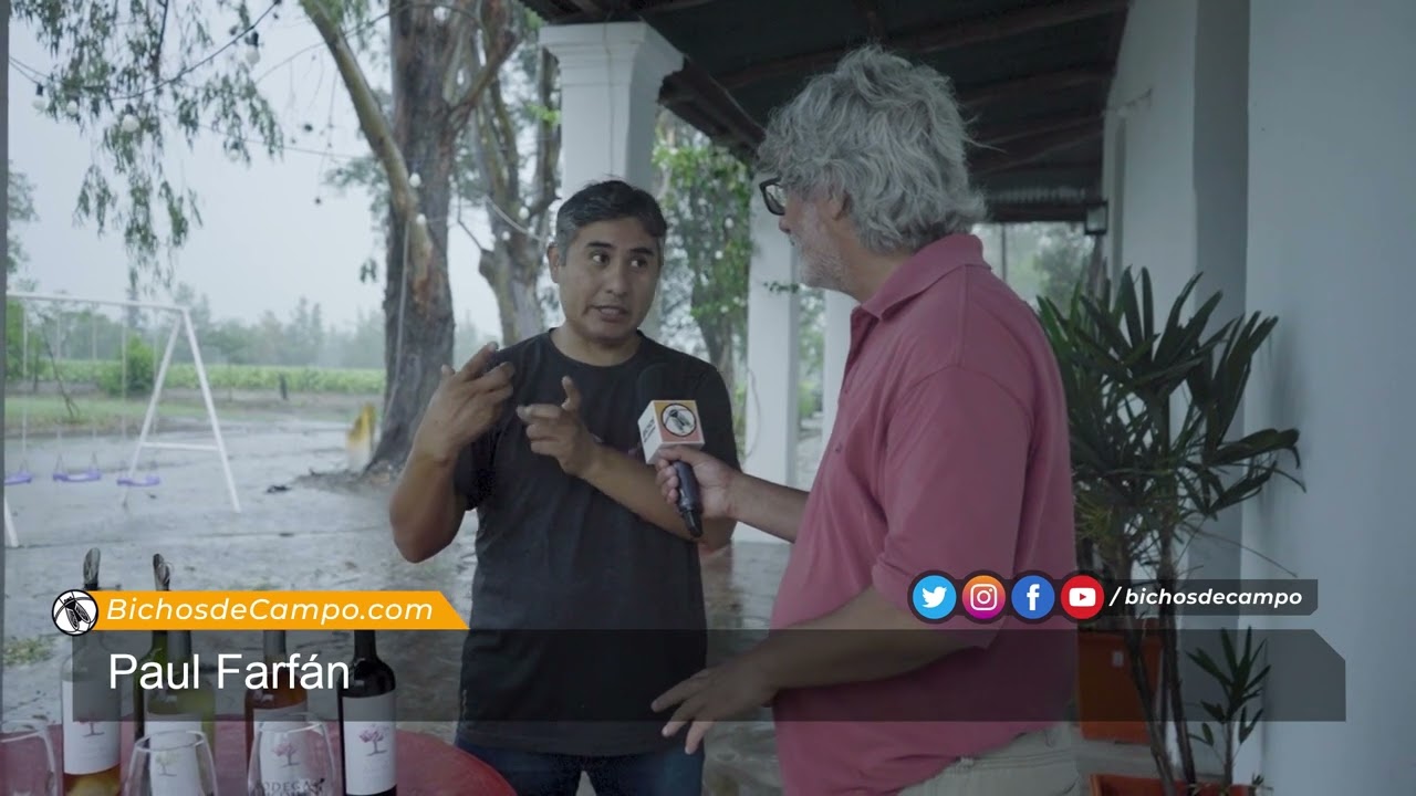 Paul Farfán, productor de vinos en Bodega La Magdalena - Monterrico (Jujuy)
