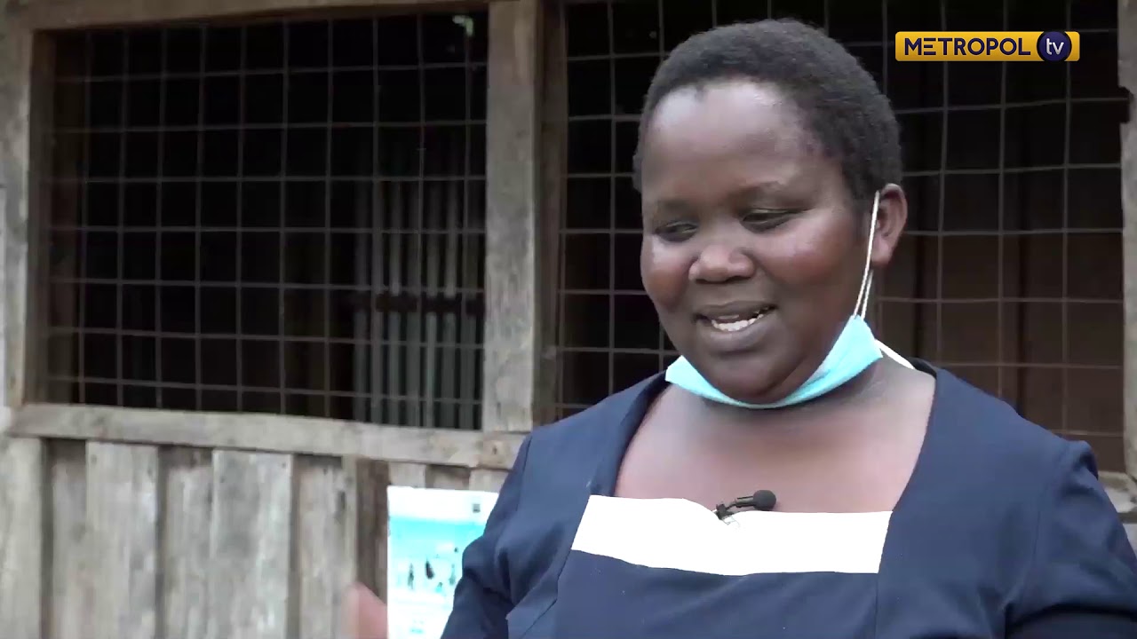 The business of chicken egg incubators