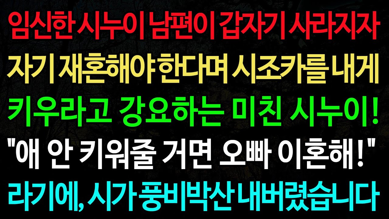 실화사연-임신한 시누이 남편이 갑자기 사라지자 자기 재혼해야 한다며 시조카를 내게 키우라고 강요하는 미친 시누이! /실화사연/신청사연/사이다썰/반전사연/사연라디오