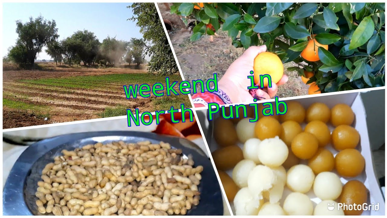 Weekend vlog North Punjab me guzara is bar Weekend