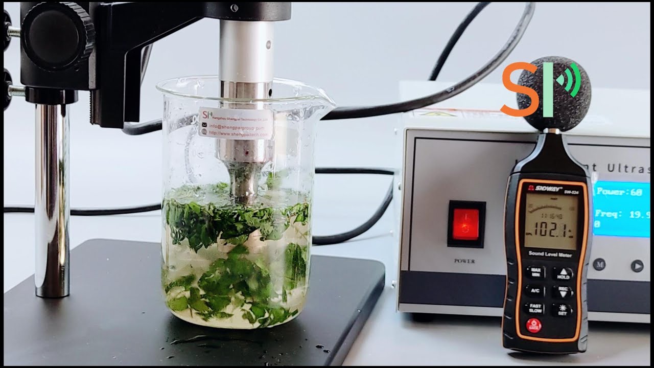How Does Ultrasonic Homogenizer Redefine Leaves Extraction