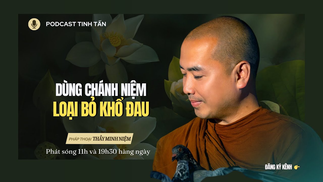 Hiểu Rõ về Chánh Niệm | Thầy Minh Niệm | Tinh Tấn