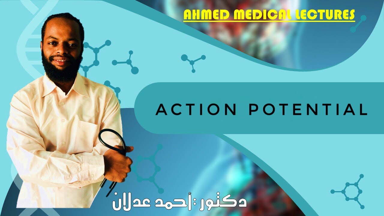 Physiology Action Potential