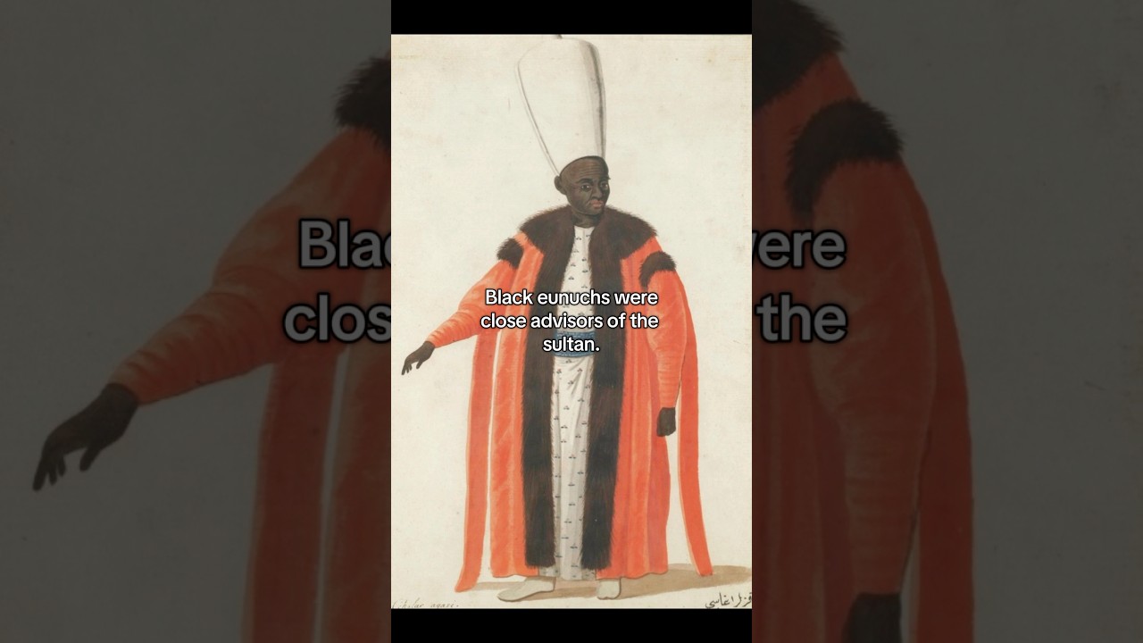 The role of Black Eunuchs in the Ottoman Empire #history #art