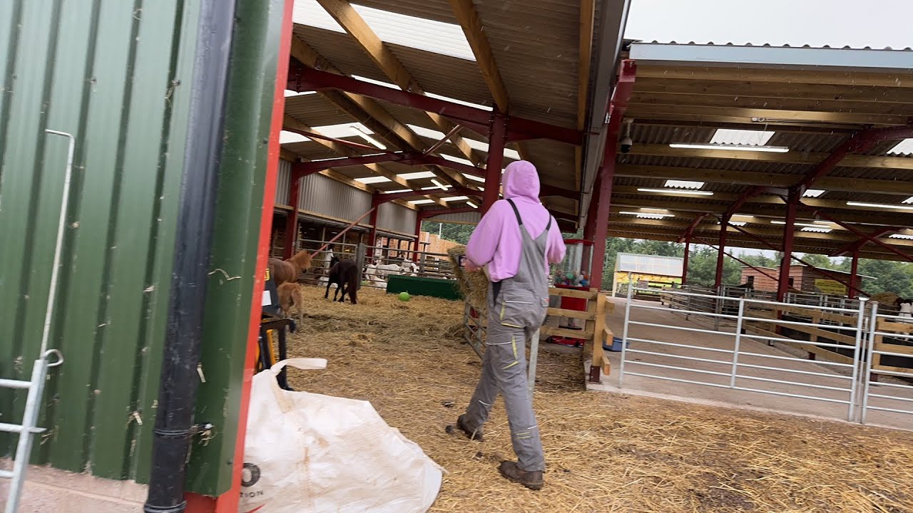 Dalscone Farm is going live!